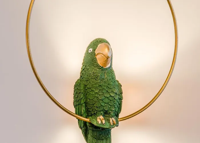 Vandora * אידריה