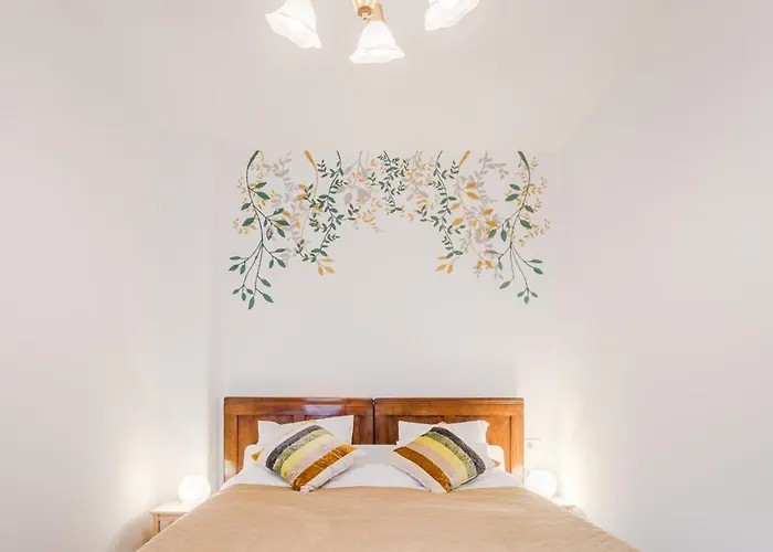 Vandora אידריה